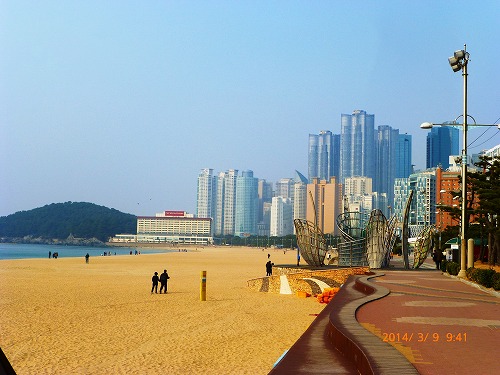 a-P1080905.jpg
