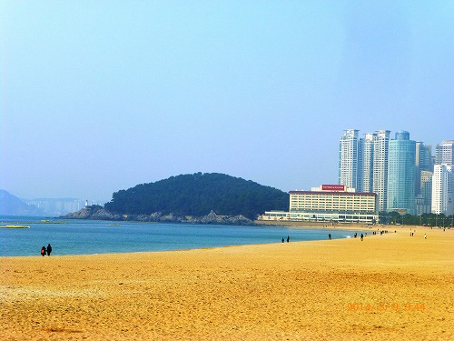 a-P1080909.jpg