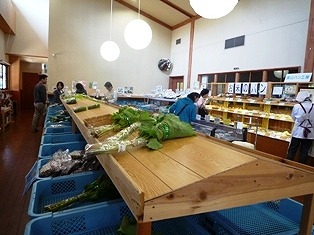 a-P1080004-3.jpg