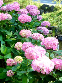 08061304