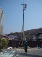 植え替え5
