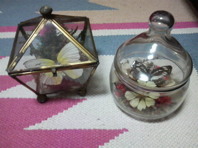 2009060220390000.jpg