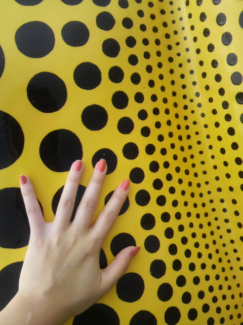 2009082615230000.jpg