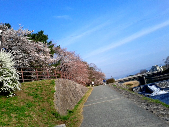 180327_073700.jpg