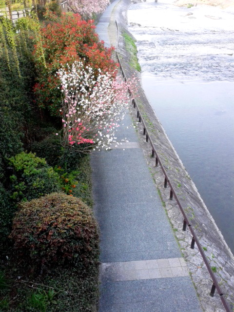 180328_070703.jpg
