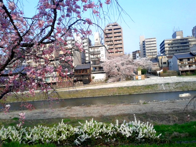 180328_071156.jpg