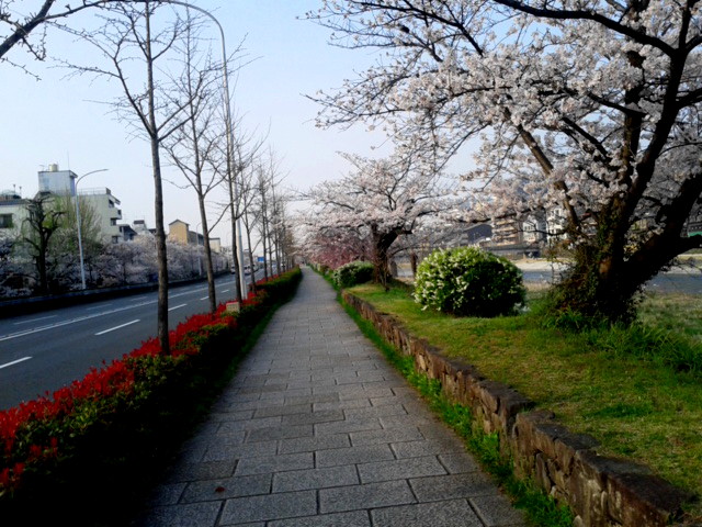 180328_071217.jpg