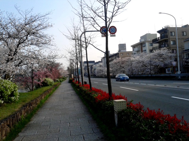 180328_071249.jpg