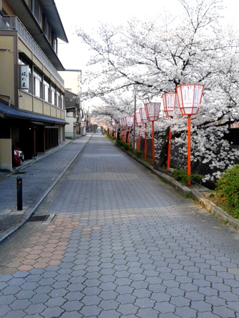180328_071503.jpg
