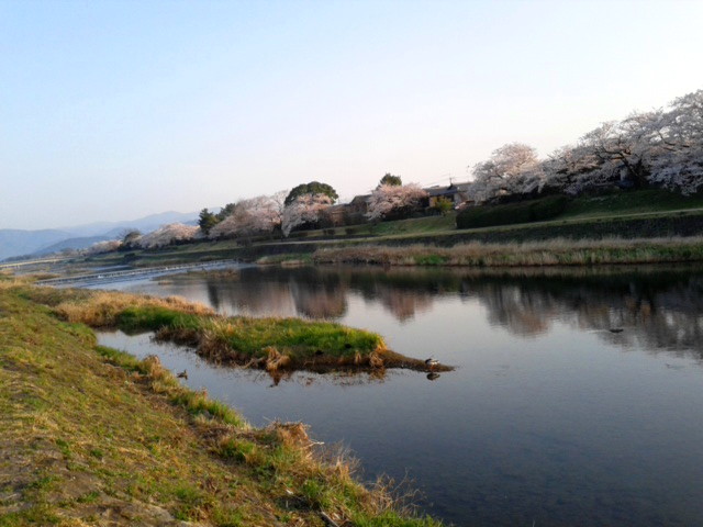 180329_064034.jpg