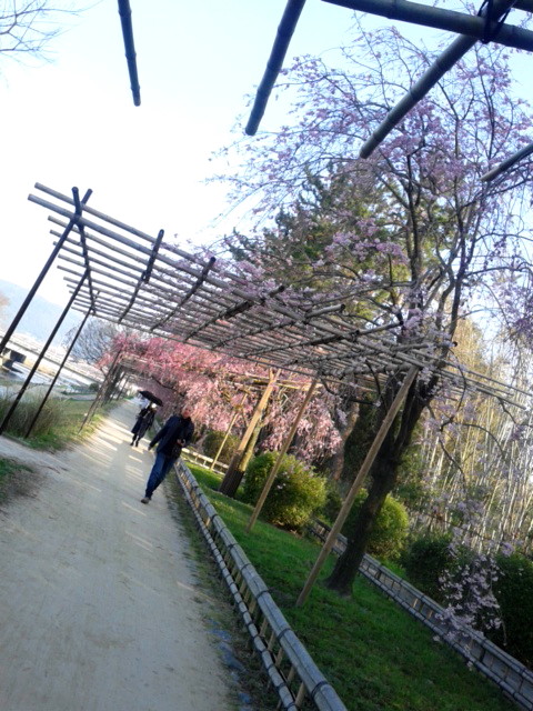 180329_071325.jpg