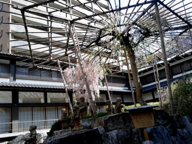 180331_092113.jpg