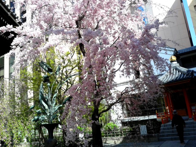 180331_092153.jpg