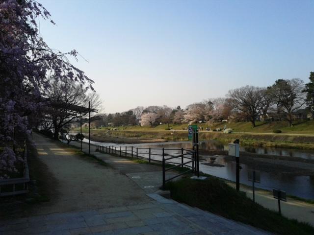 180329_070828.jpg