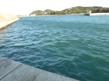 千葉県房総館山の海