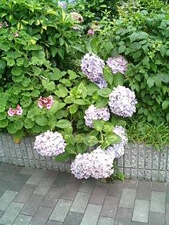 070626_1307~0001.jpg