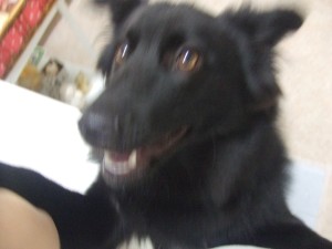 sora
