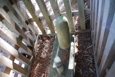 13.JPG