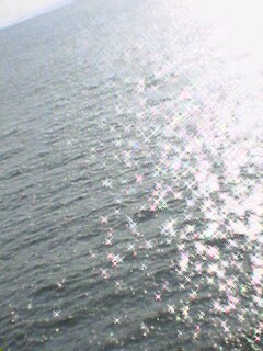 20060725_196458.jpg