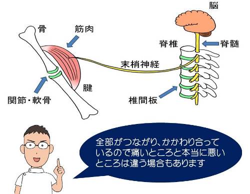 運動器