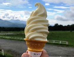 ソフトクリーム