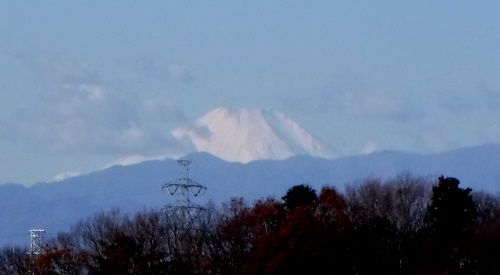 元旦の富士