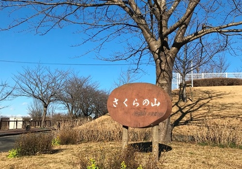 公園