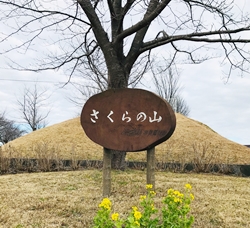 さくらの山公園へ