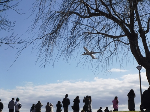 飛行機を