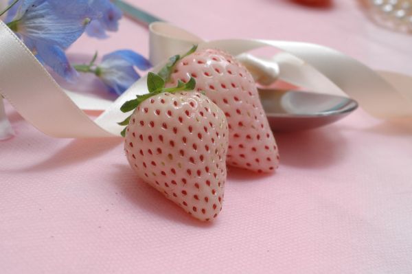 ファイル0035.jpg