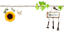 ファイル0015.gif