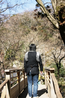明月院には木の橋があります