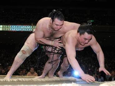 琴欧州優勝!