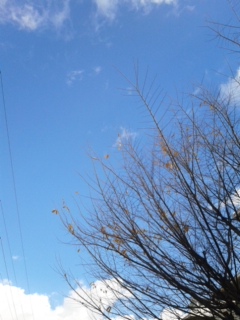 131129_093952.jpg
