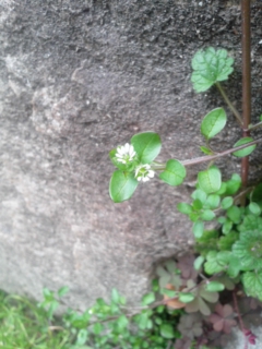 140301_122026.jpg