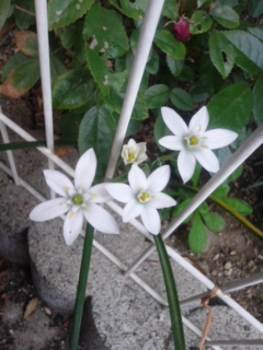 140417_172142.jpg