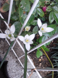 140417_181331.jpg