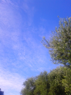 140909_152207.jpg