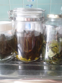 140925_092035.jpg