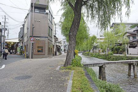 京都 中勢以 月