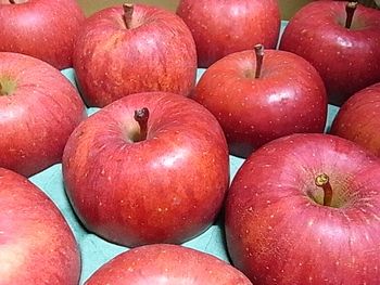 apple