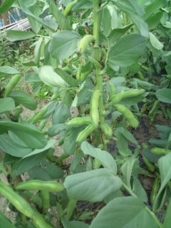 20130525165432.jpg