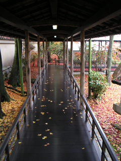 大徳寺