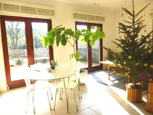 141225-5.jpg