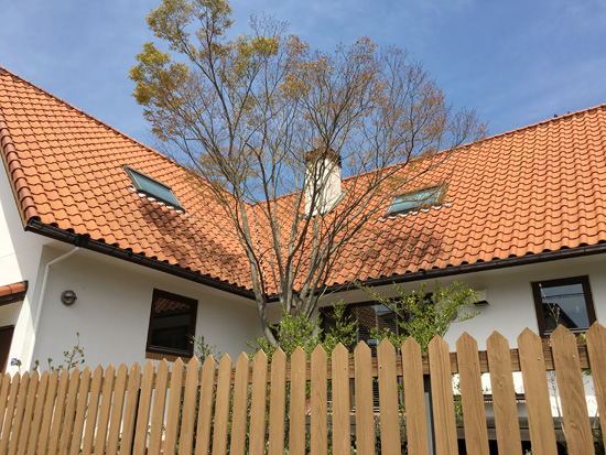 160412-1.jpg