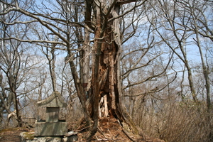 蕎麦粒山 仙元峠
