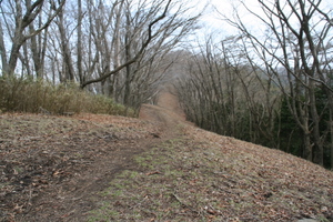 蕎麦粒山 尾根道