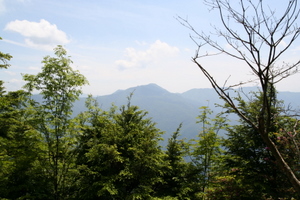 白岩山付近1 06-17-2007