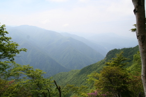 白岩山付近2 06-17-2006