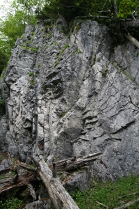 途中の石灰岩の岩場 06-17-2007